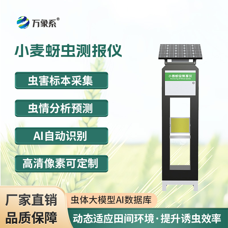 小麥蚜蟲測報儀，保障小麥健康成長的利器之一