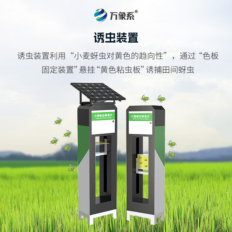 揭秘小麥蚜蟲測報儀的“蟲情密碼”
